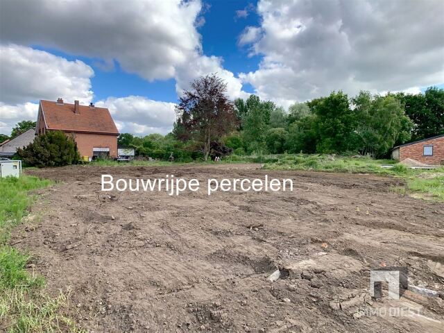 8653 afbeelding 6
