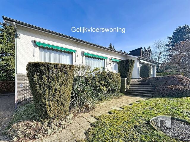 8236 afbeelding 5