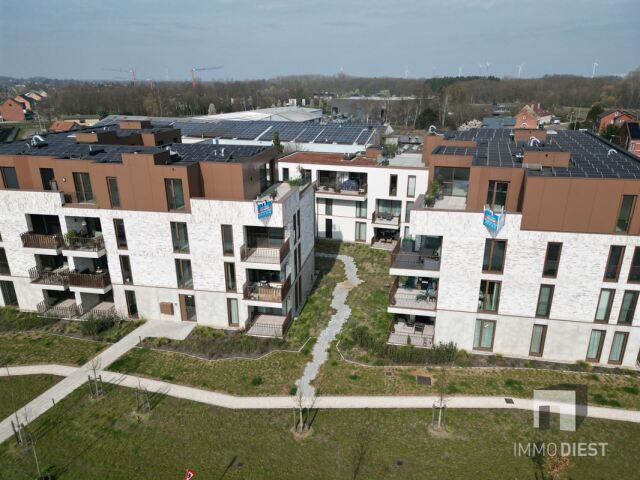 DJI_0050.JPG