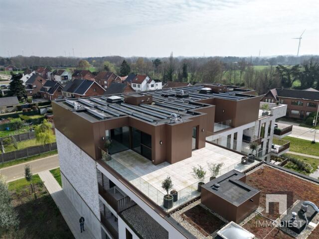 DJI_0077.JPG
