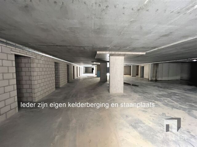 04.jpg
