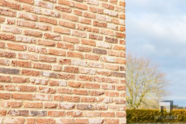 oude_baan_17,_halen-40.jpg