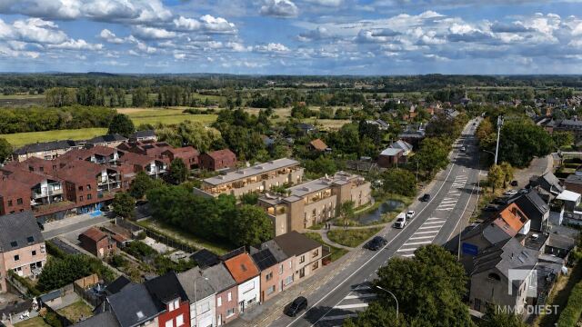 Luchtbeeld Project Diest (3).png
